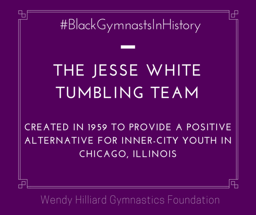 Jesse White Foundation, Official